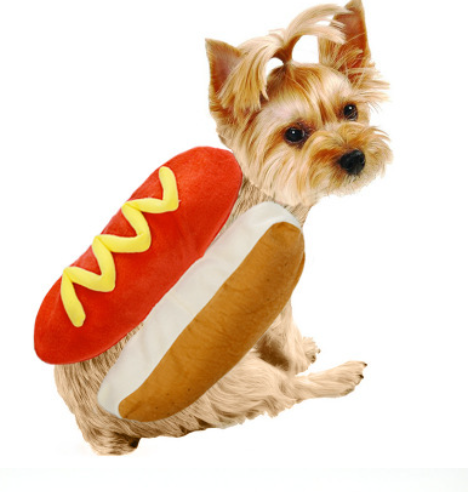 Hot Dog Burger Pet Outfits