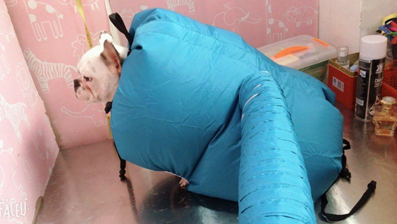 PetCare Drying Box