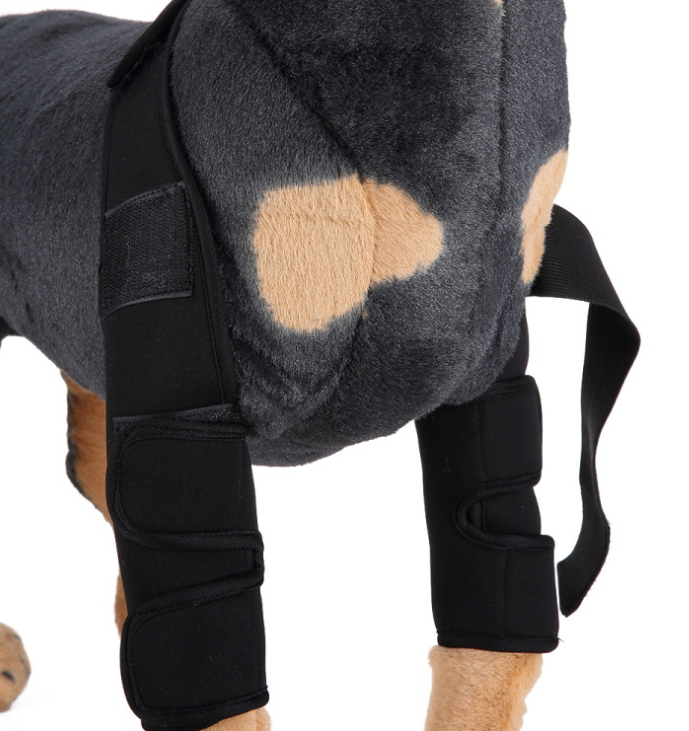 Canine Recovery Knee Guard