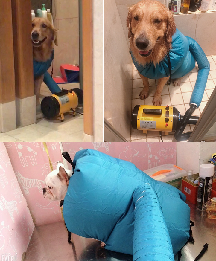 PetCare Drying Box