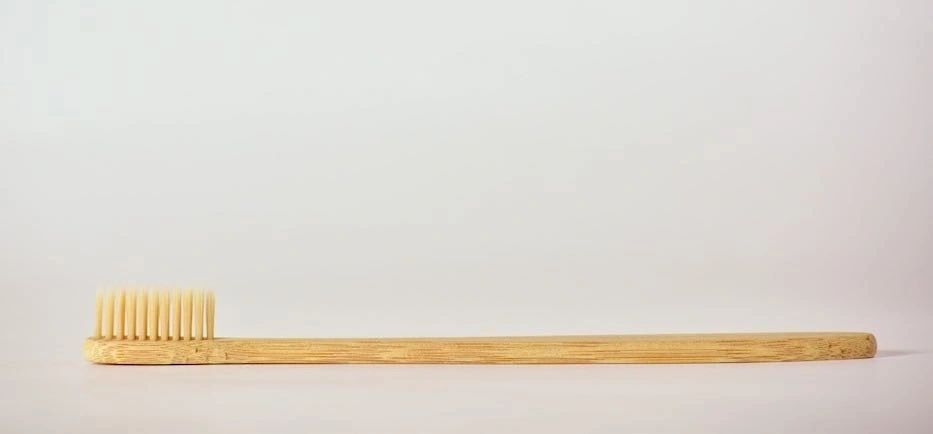 GreenBrush Bamboo Toothbrush