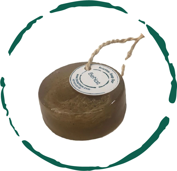 Botanic Bliss Soap: Bamboo & Green Tea