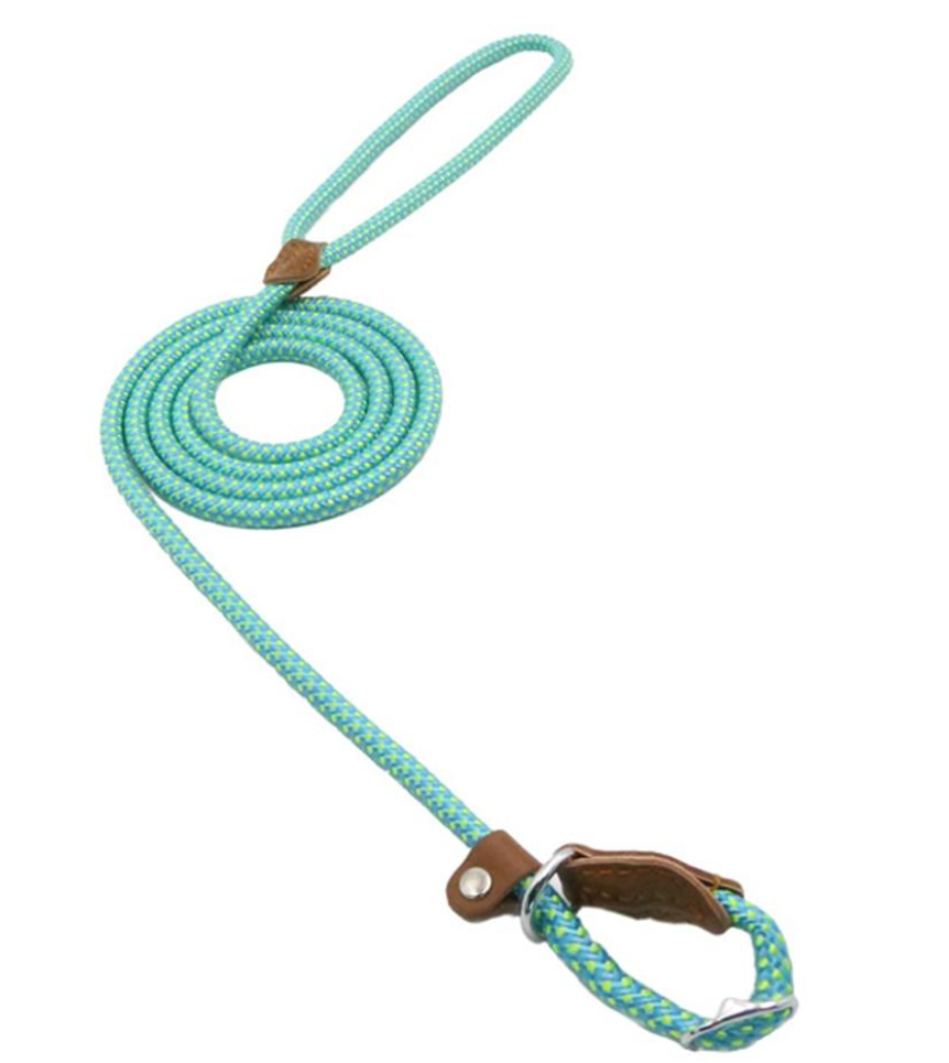 Nylon Canine Comfort Kit