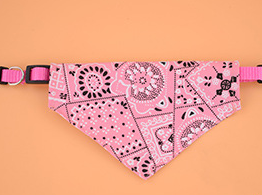 Chic Pet Triangle Collar