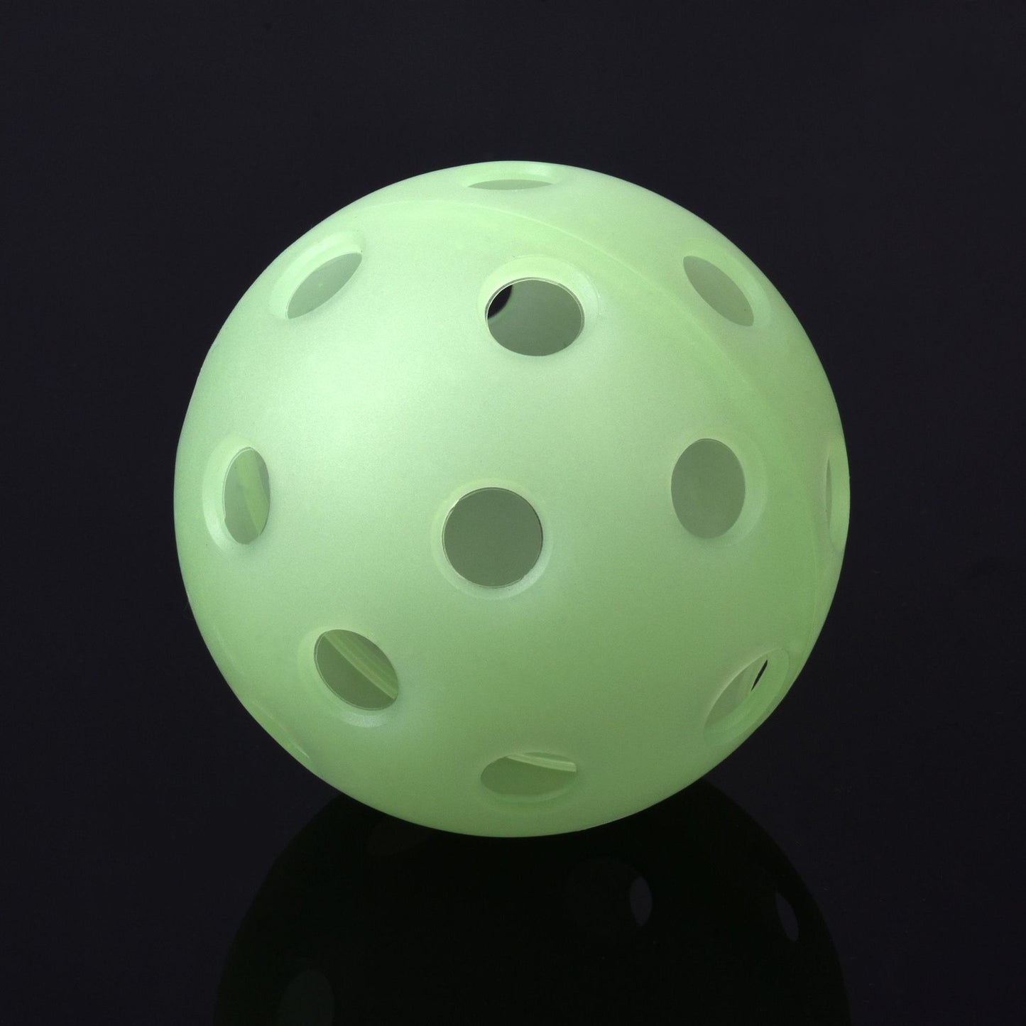 All-Court Pro Pickleball Set
