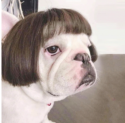 Cosplay Styling Toshomono Wig