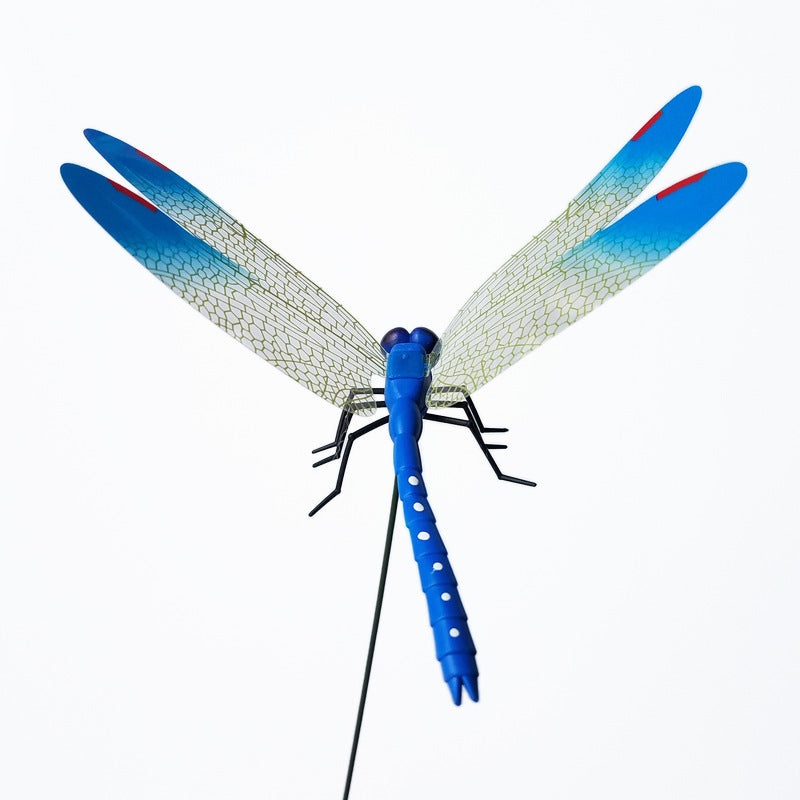Vibrant Dragonfly Decals for Home & Garden