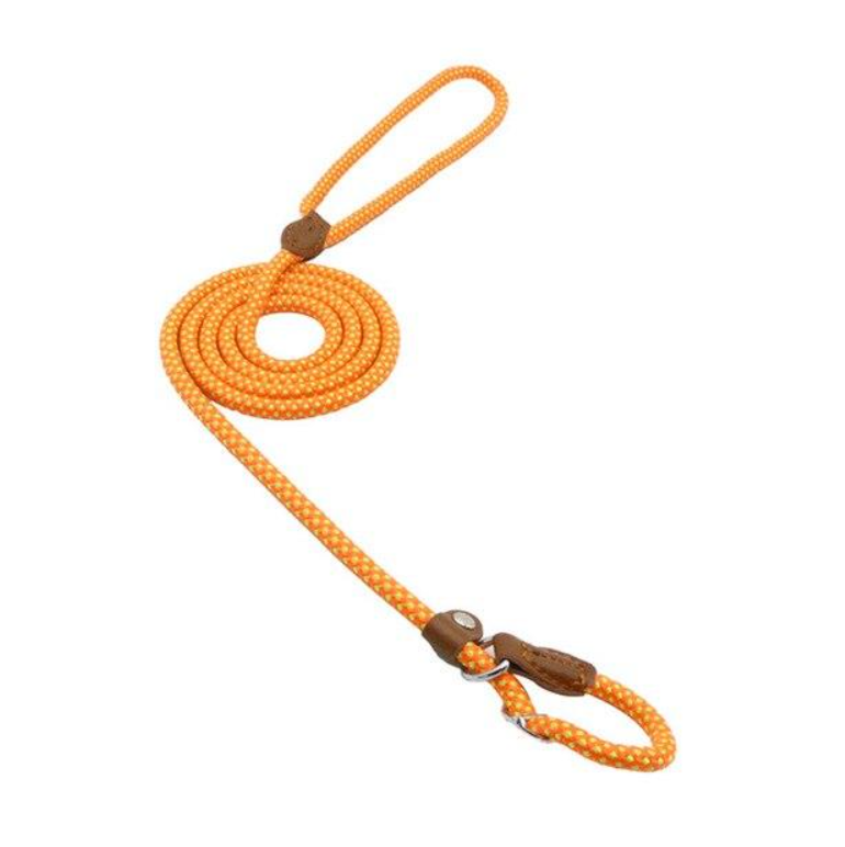 Nylon Canine Comfort Kit
