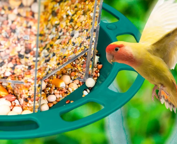 Efficient Outdoor Bird Feeder