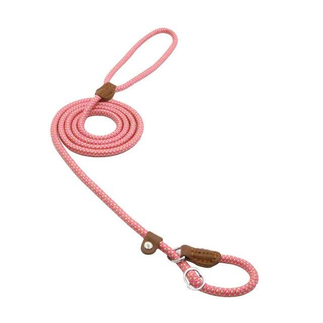 Nylon Canine Comfort Kit