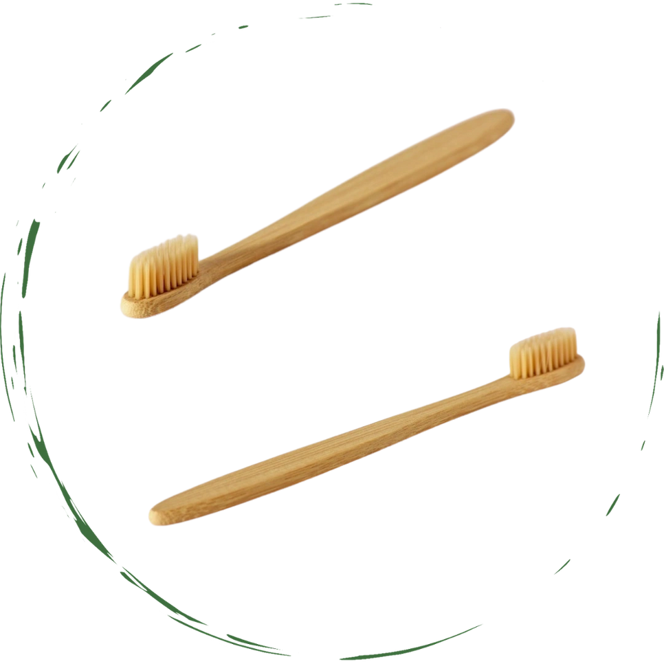 GreenBrush Bamboo Toothbrush