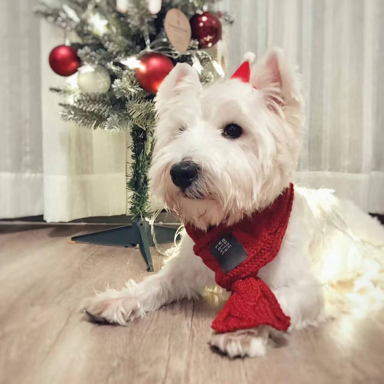 Cozy Chic Pet Scarf