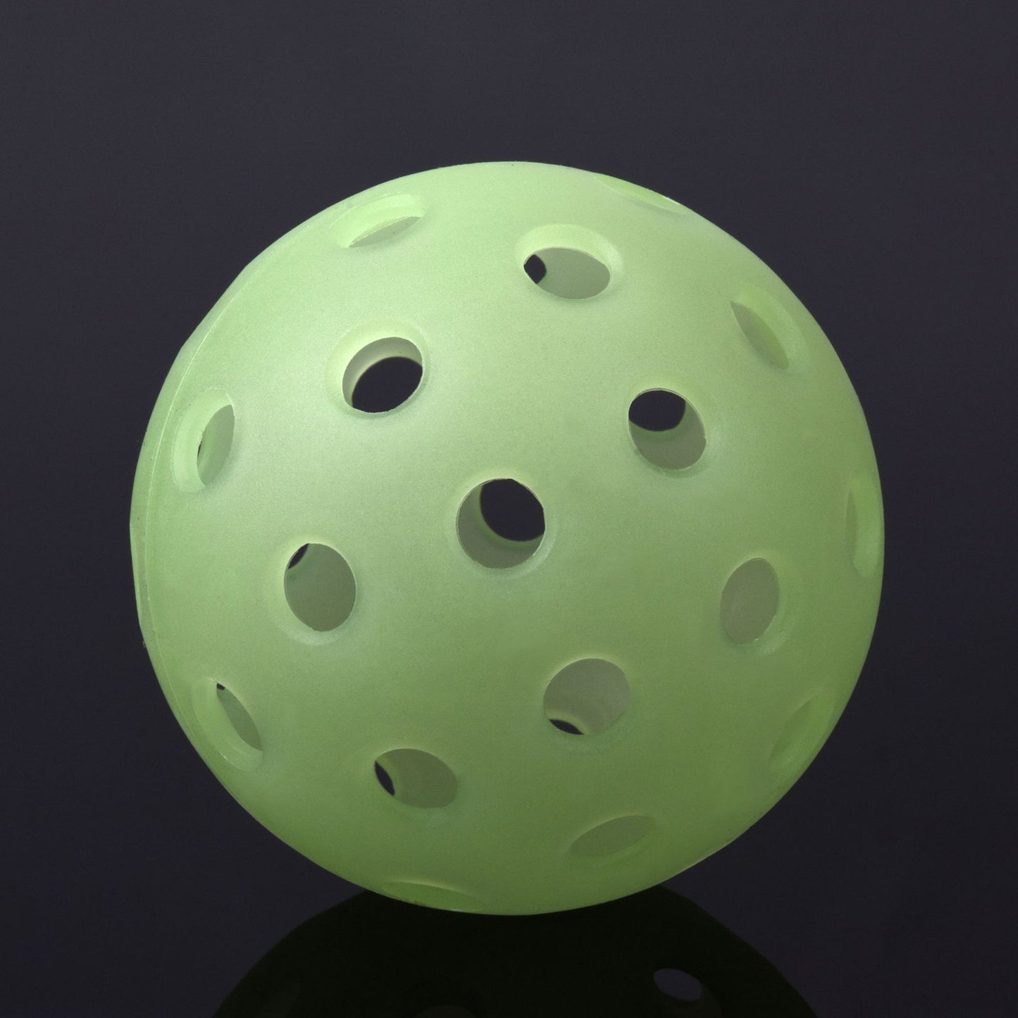 All-Court Pro Pickleball Set