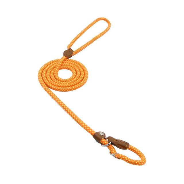 Nylon Canine Comfort Kit