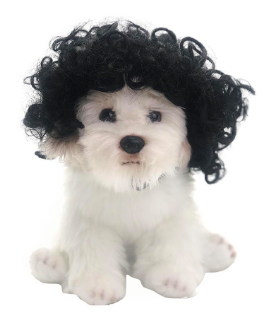 Cosplay Styling Toshomono Wig