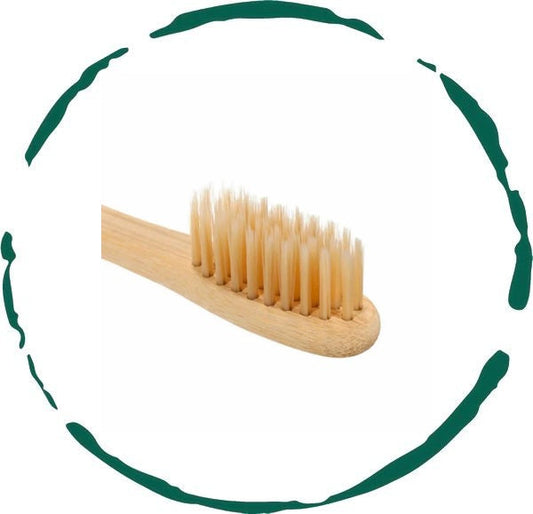 GreenBrush Bamboo Toothbrush