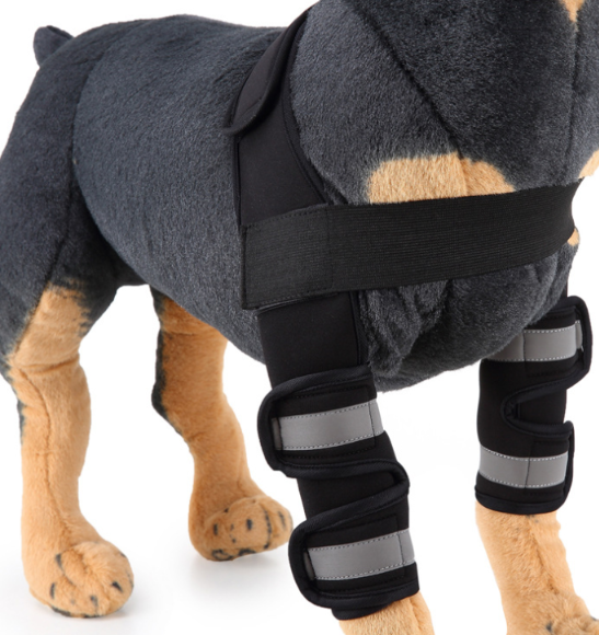 Canine Recovery Knee Guard